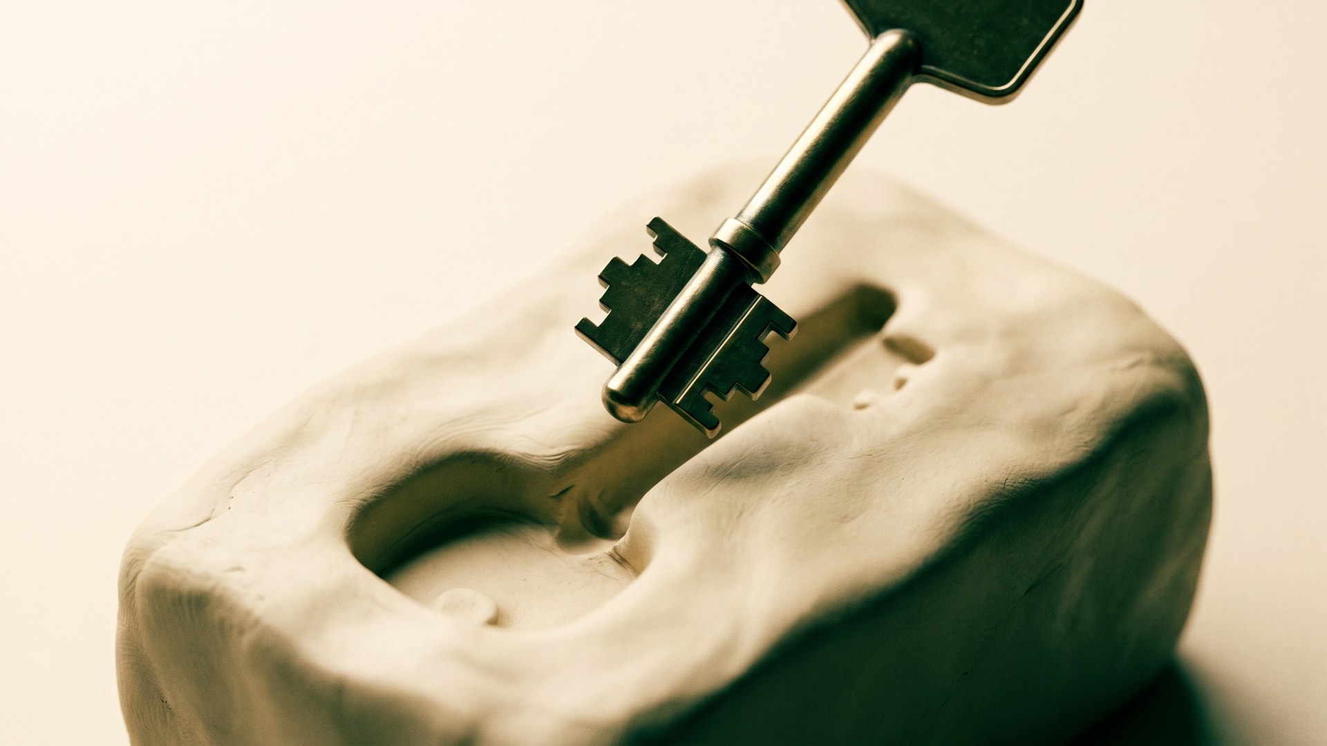 The weights clause: who keeps the model when the vendor relationship ends
